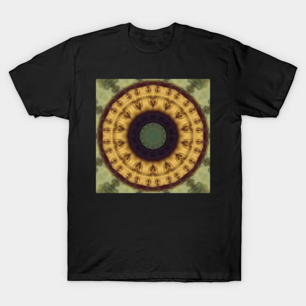 Mandalisa Kaleidoscope Pattern (Seamless) 8 T-Shirt by Swabcraft